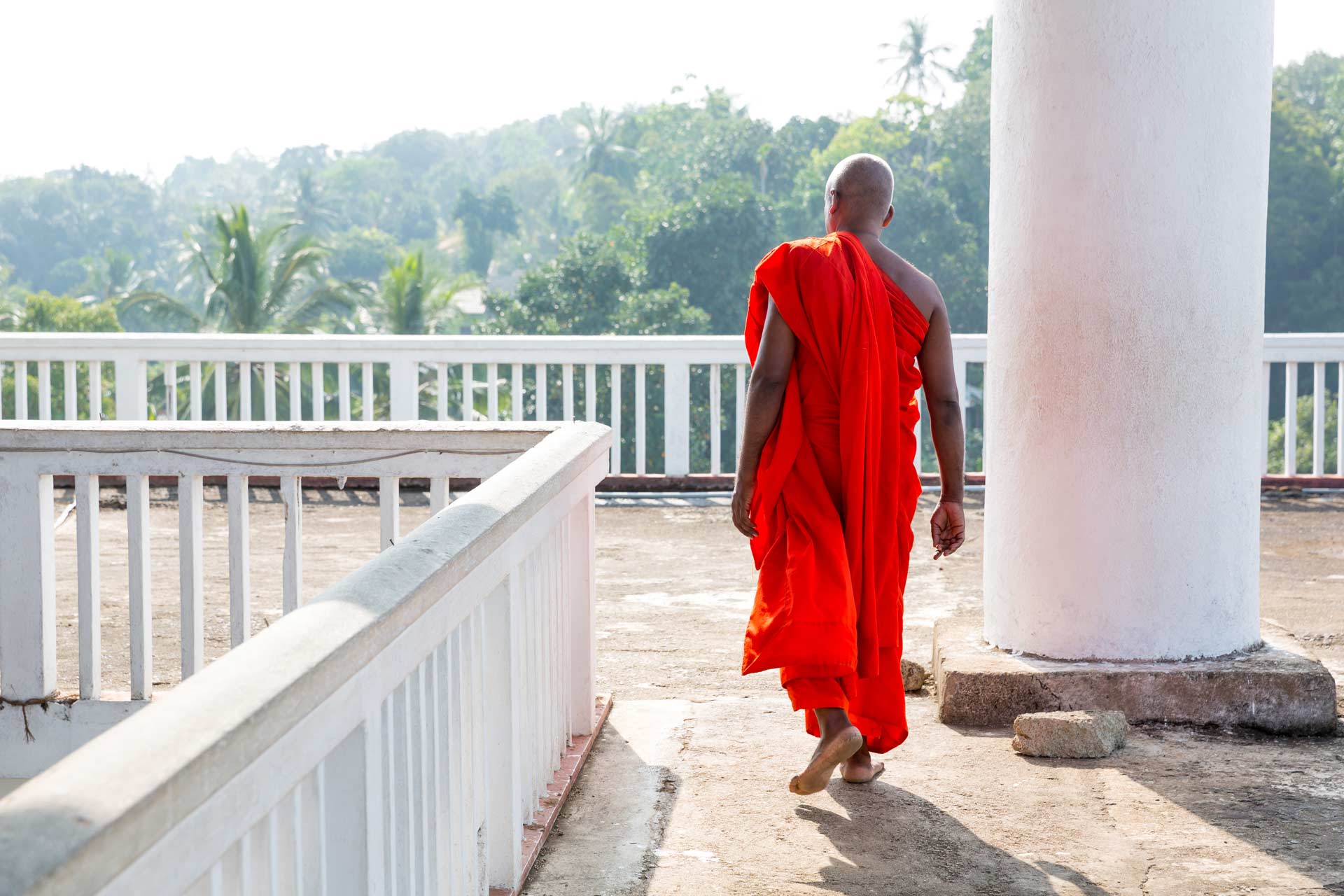 buddhist-in-buddha-temple-buddhism-religion-PGWTYEL.jpg